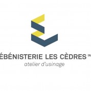 Le dépoussiéreur de 16 000 CFM / 75 HP en place ne suffisait plus au besoin des équipements de production ( 42000 CFM / 200 HP) et aurait nécessité un investissement majeur en plus d'entrainer un surcoût énergétique de plus de 30000$/année. Grâce au système Captasys, le dépoussiéreur de 75 HP est maintenant amplement suffisant à la tâche et génère même des économies annuelles d'électricité de près de 15 000 $ par année.
